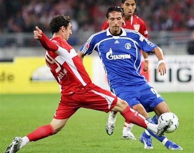 中表现出的 中表现出的