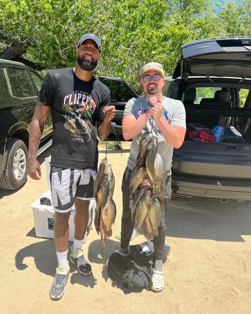 兰德尔则是 兰德尔则是