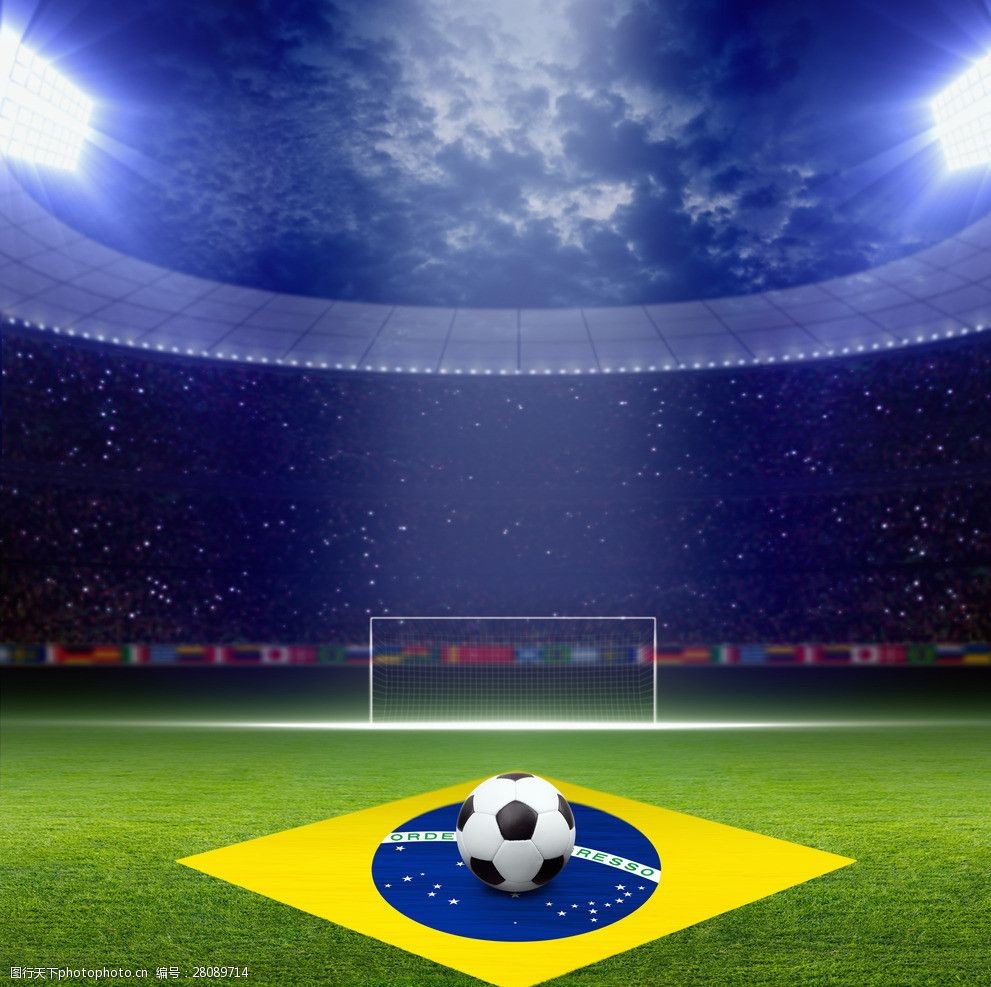 自己豪门的 自己豪门的